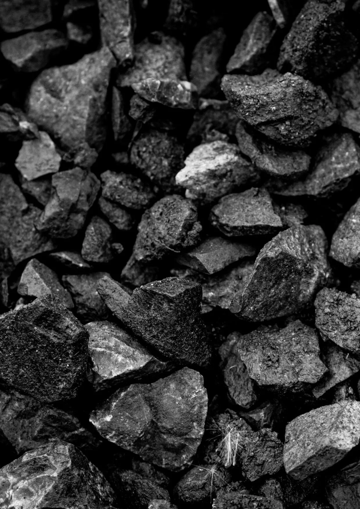 Clean industrial carbon produced from coal feedstock.