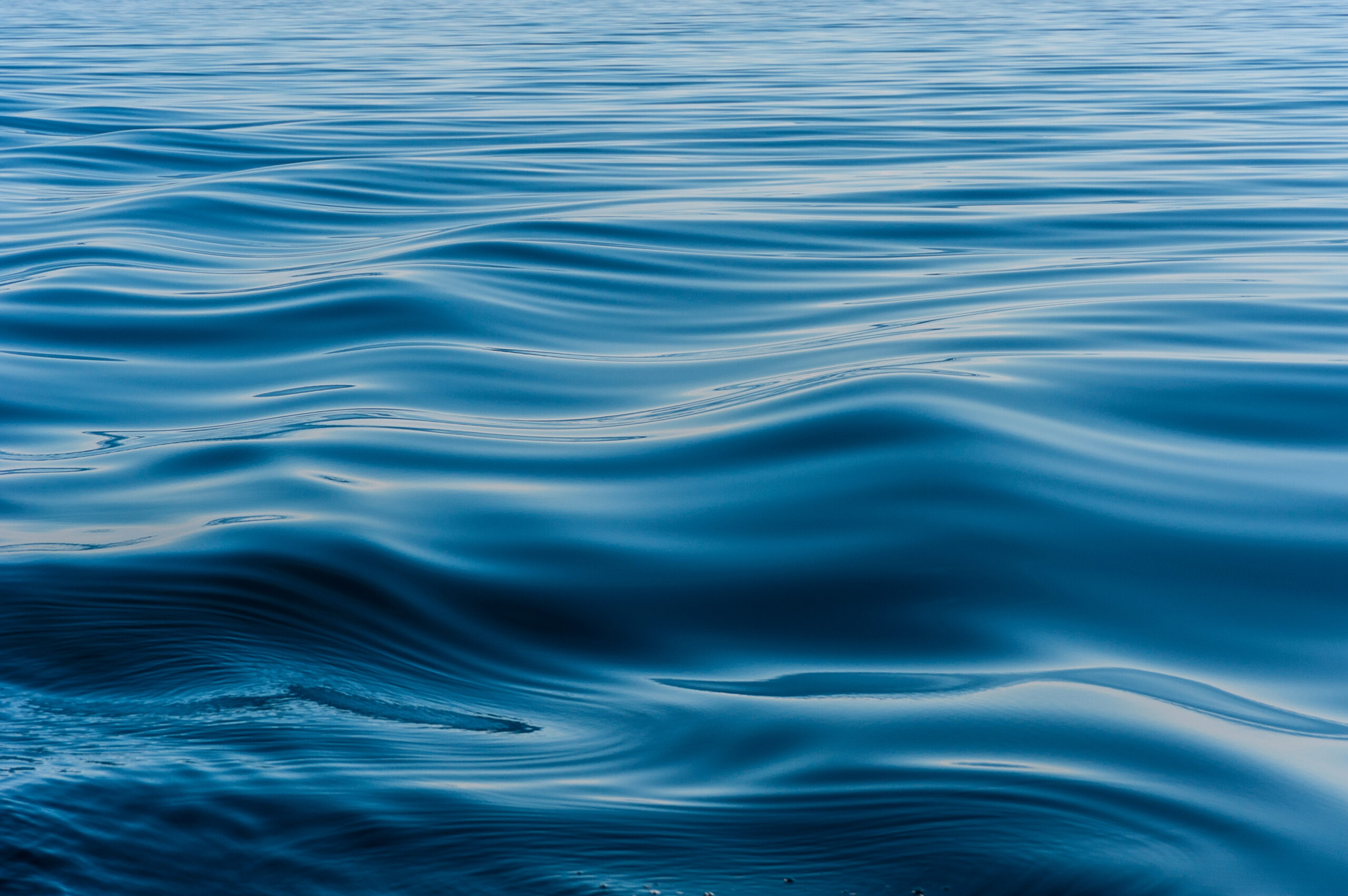 Waves on the surface of a lake.